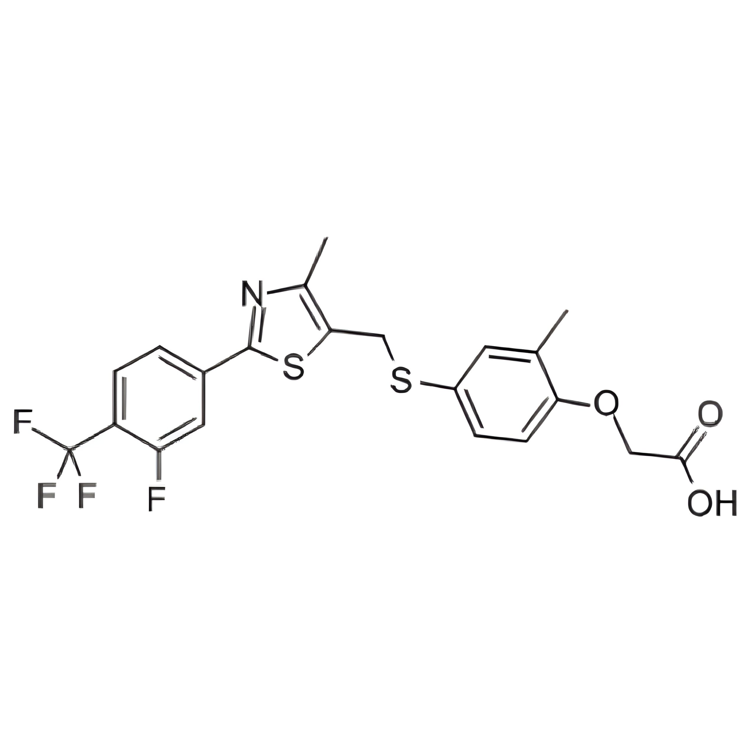 New Project (60) (1)
